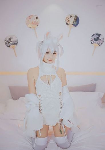 女人的理由